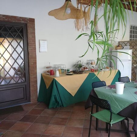 Etnante Bed & Breakfast Zafferana Etnea Dış mekan fotoğraf