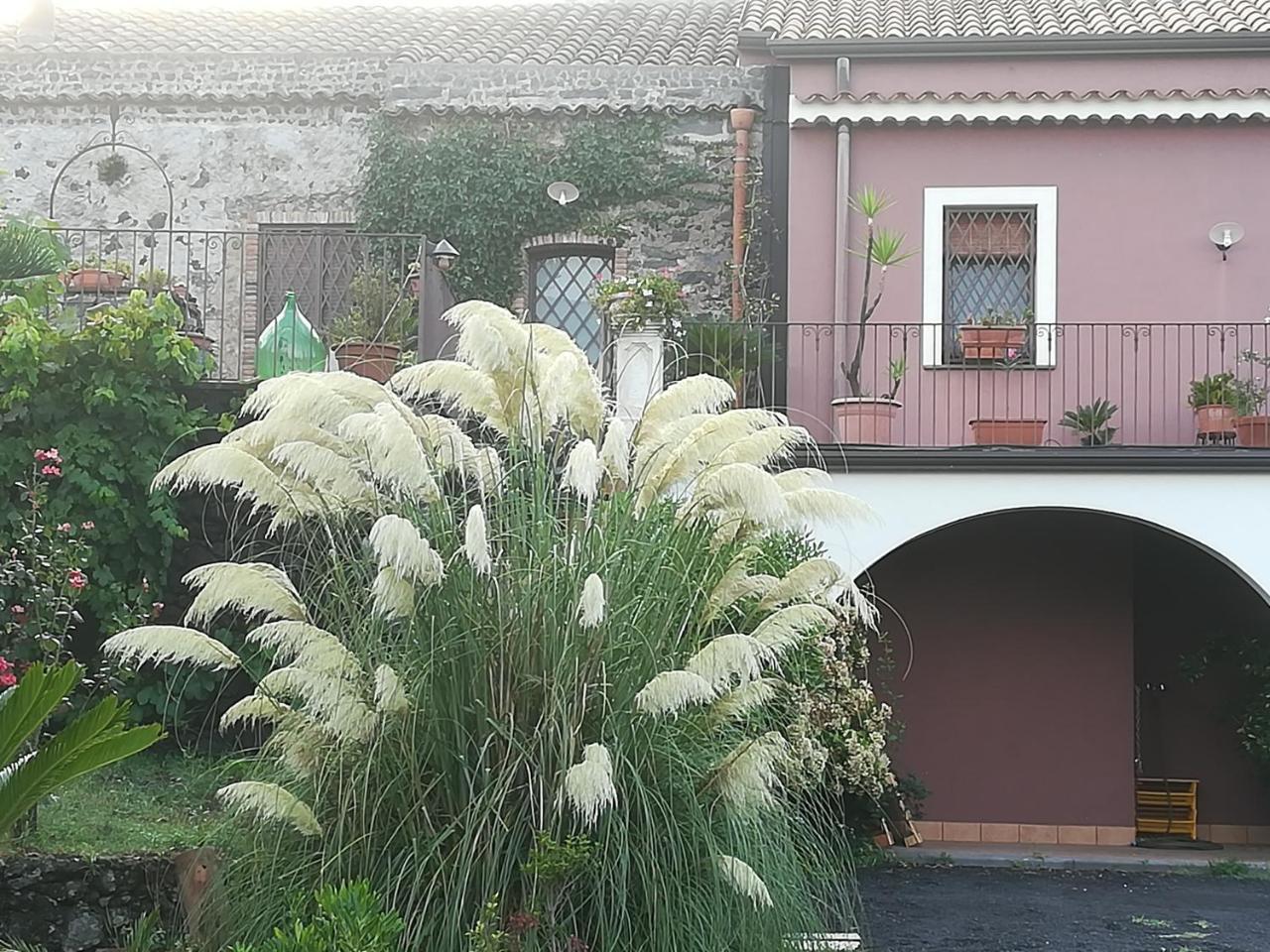 Etnante Bed & Breakfast Zafferana Etnea Dış mekan fotoğraf